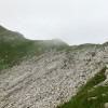 IMG_8317 IMG_8317