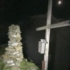 IMG_8335 IMG_8335