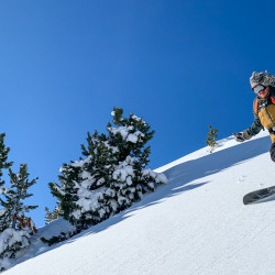 Snowboarder im Pulverschnee zwischen Bäumen, Jahresrückblick 2020