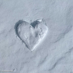 Herz im Schnee – 2021