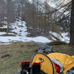 Zelt und Schuhe im Lärchenwald im Frühling, Jahresrückblick 2021
