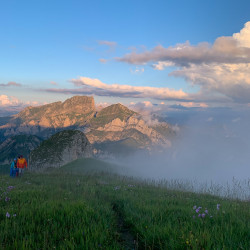 Grasrücken mit Wolken und Felsgipfeln im Abendlicht, Biwak am Chäserrugg
