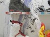 Die neuen Northwave Schuhe