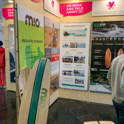 Organisches Surfboard