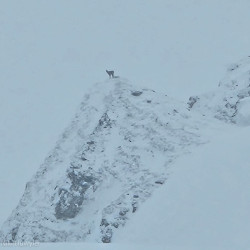 Bergsteiger auf einem verschneiten Grat im Nebel, Jahresrückblick 2024