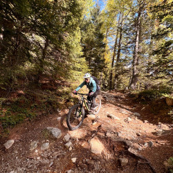 Mountainbiker auf einem Waldtrail im Herbst, Jahresrückblick 2024