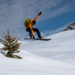 Snowboarder springt über eine kleine Tanne, Jahresrückblick 2024