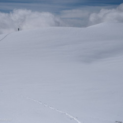 Einzelne Spur in einem weiten Schneehang, Jahresrückblick 2024