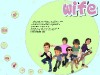 Interaktive CD-ROM der Schweizer Musik Band "wife"