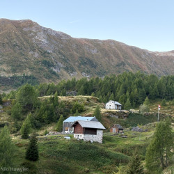 Alpweiler mit Hütten zwischen Lärchen, Via Alta Crio zweiter Teil
