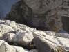 T6 - schwieriges Alpinwandern mit freesolo Klettern bis lll Grat