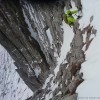 Mit Pädi am Mixedclimbing
