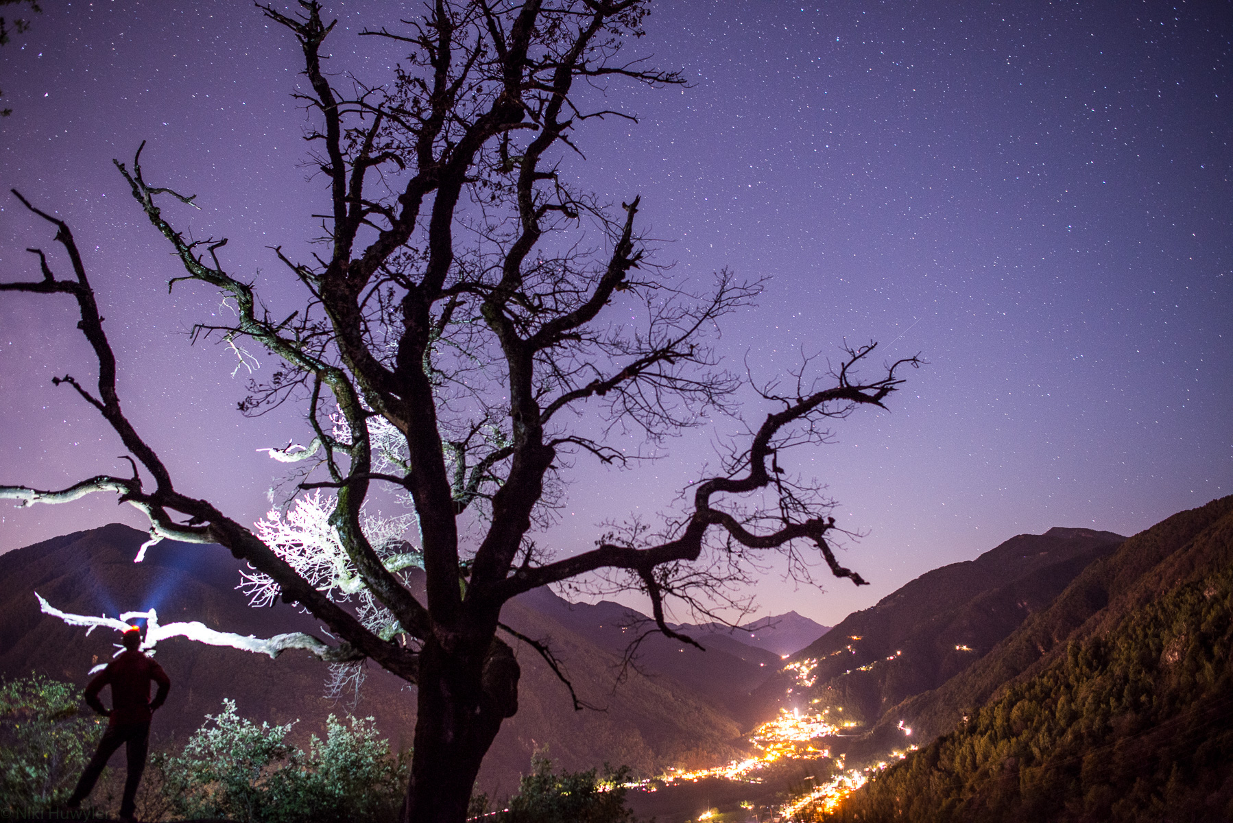 Kahler Baum unter dem Sternenhimmel mit Lichtern im Tal, Jahresrückblick 2017