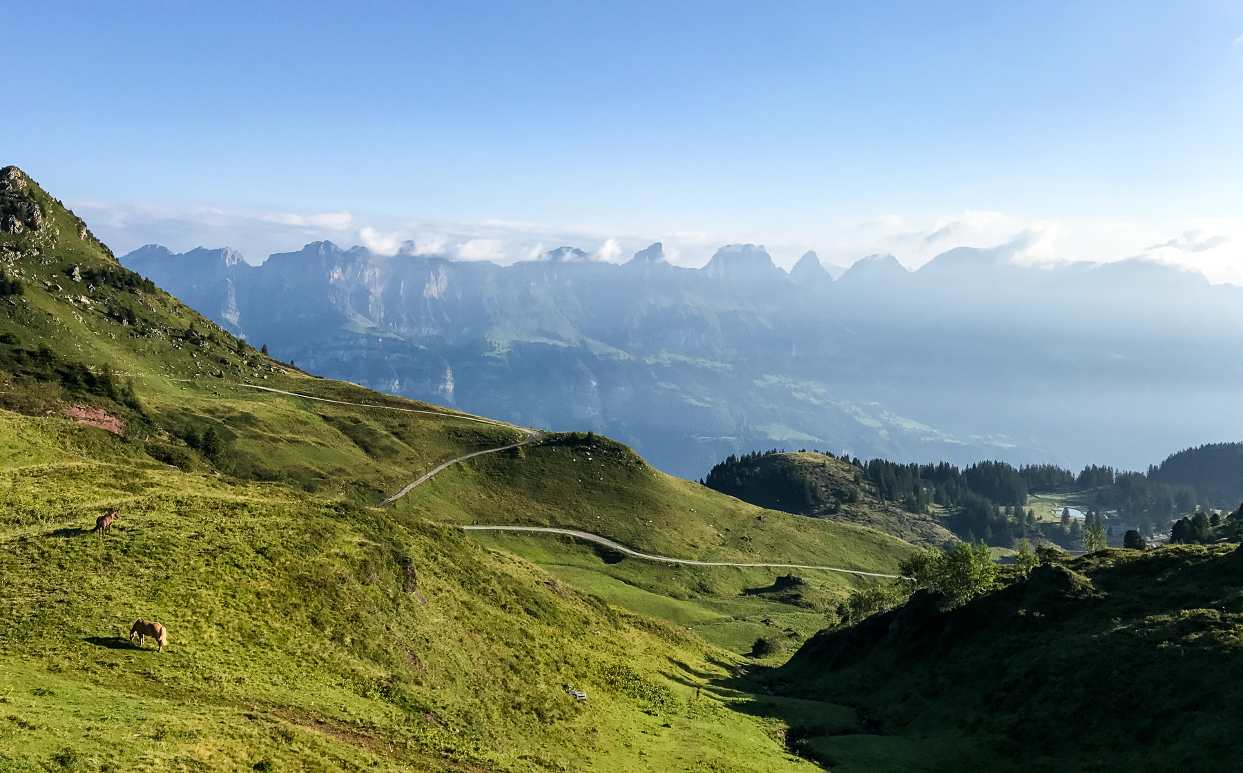 Grüne Alpweide mit Blick ins Tal, Jahresrückblick 2017