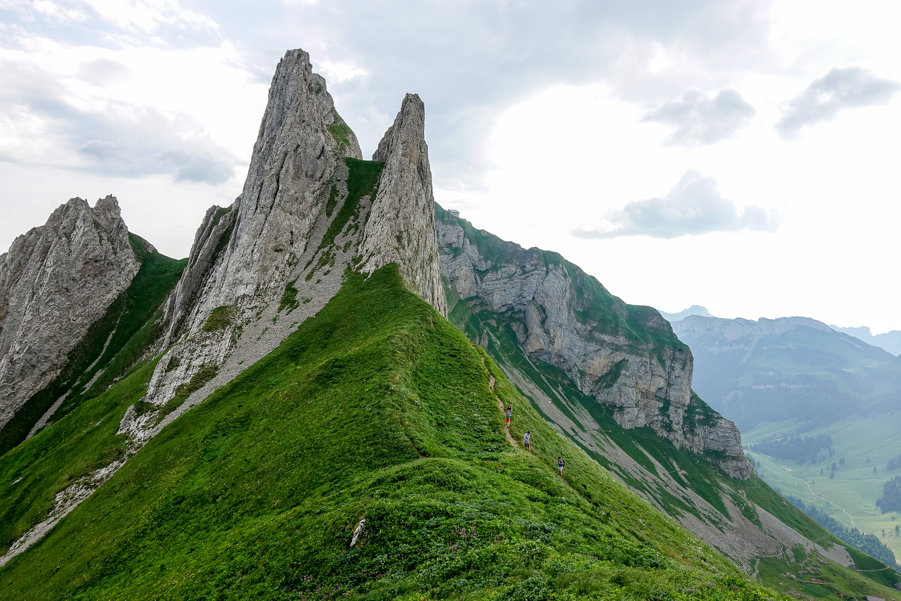 Felszacken über einem grünen Grat im Alpstein, Jahresrückblick 2017