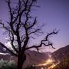 Kahler Baum unter dem Sternenhimmel mit Lichtern im Tal, Jahresrückblick 2017