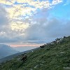 IMG_8337