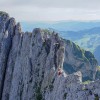 Ridge – 2018