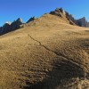 Goldbraune Grasflanke unter einem Felsgrat, Alpstein