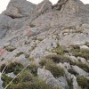 DSCN4448