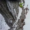 Bild von Pädi – Alpstein