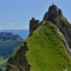 Grasgrat zu einem Felsgipfel mit Person, Alpstein