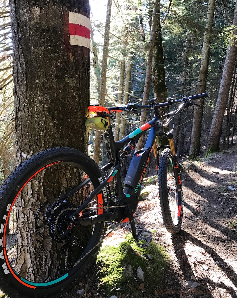 E-Mountainbike an einem Baum mit Wegmarkierung im Wald