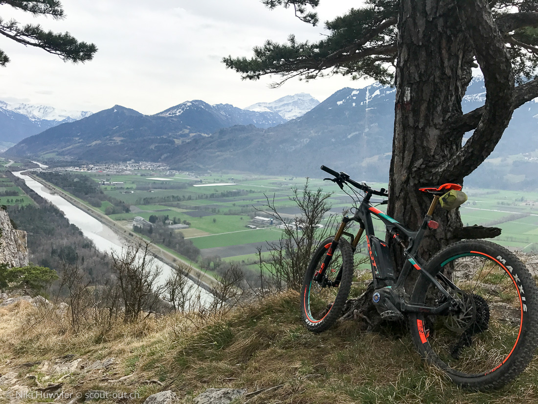 E-Mountainbike unter einem Baum über dem Rheintal