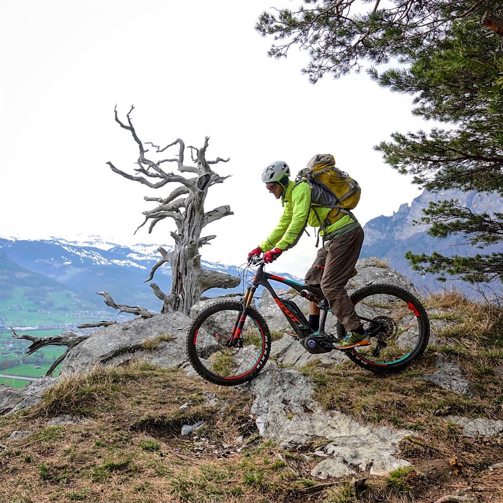 E-Mountainbiker neben einer knorrigen Arve auf einem Felsen