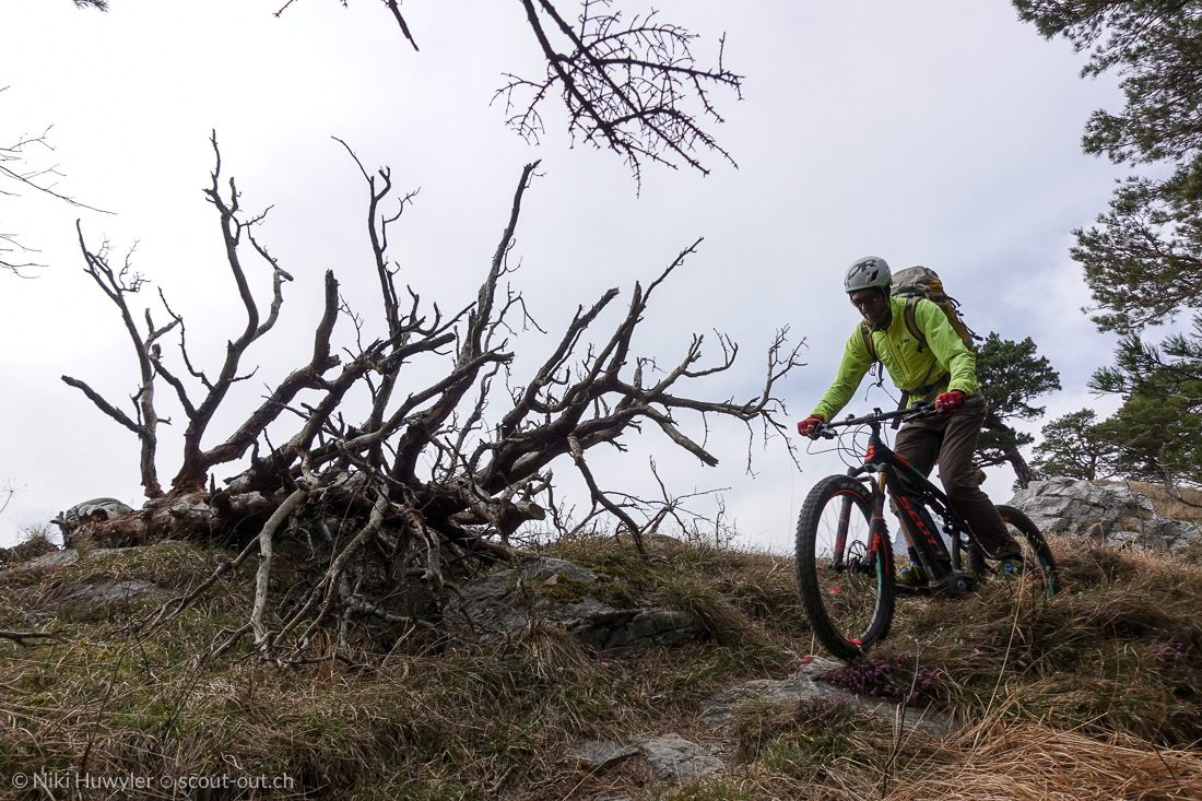E-Mountainbiker neben einem entwurzelten Baum