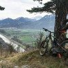E-Mountainbike unter einem Baum über dem Rheintal
