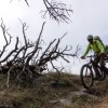 E-Mountainbiker neben einem entwurzelten Baum