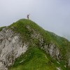 Bergsteiger jubelt auf einem Grasgipfel im Nebel, Fluebrig