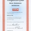 SSBS-Fähigkeitszertifikat Swiss Snowboard Instructor