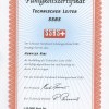 SSBS-Fähigkeitszertifikat Technischer Leiter