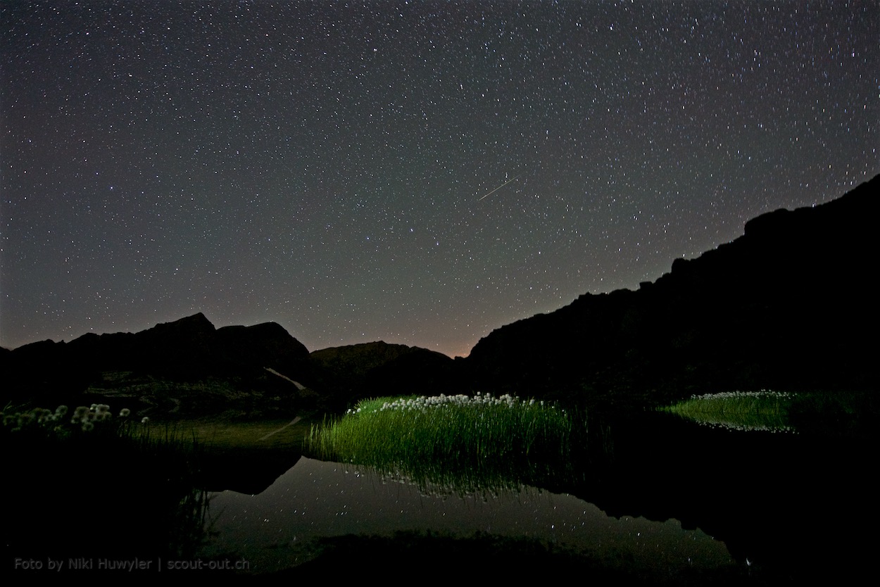 Nacht der Perseiden: Beleuchtetes Wollgras an einem Bergsee bei Nacht