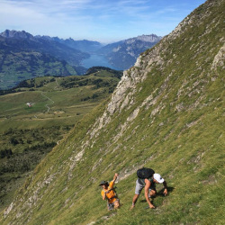 Wanderer mit Hund an einer steilen Grasflanke, Sommer 2020