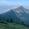 Bewaldeter Gipfel im Morgenlicht, Via Alta della Verzasca